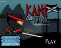Giocare: Kane the Ninja