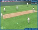 Jugar al juego: Cricket